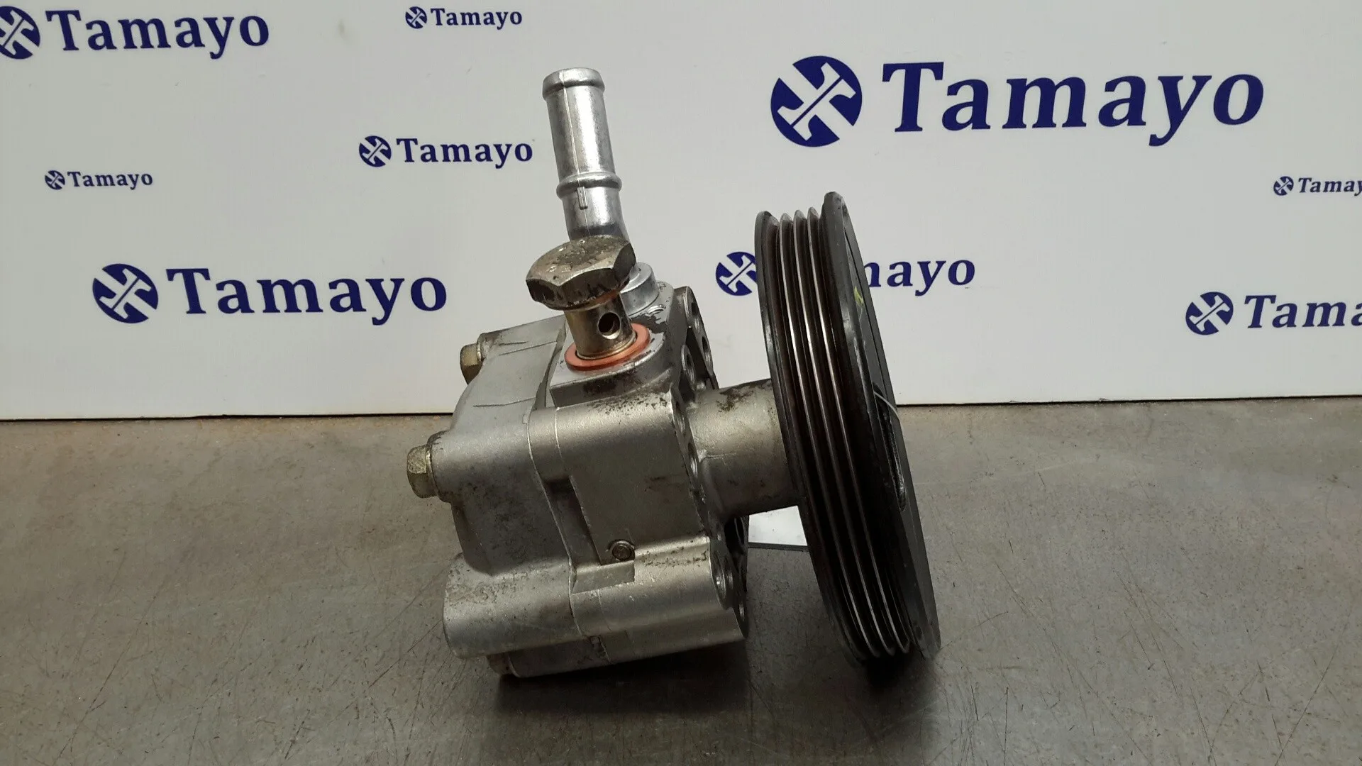 Bomba Direccion para Nissan Almera (N16/E)