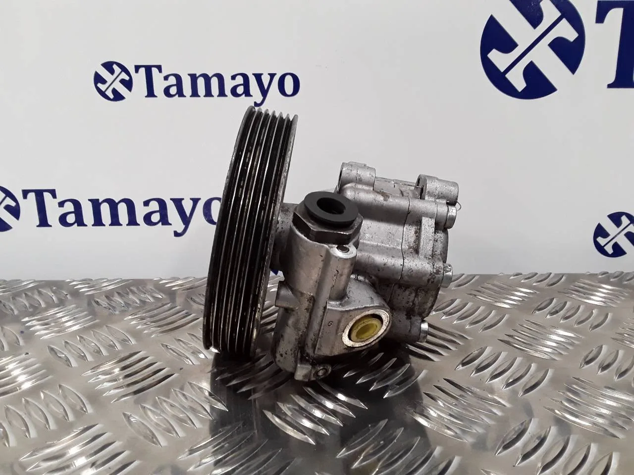 Bomba Direccion para Fiat Ducato Caja Cerrada 11 (Desde 03.02)