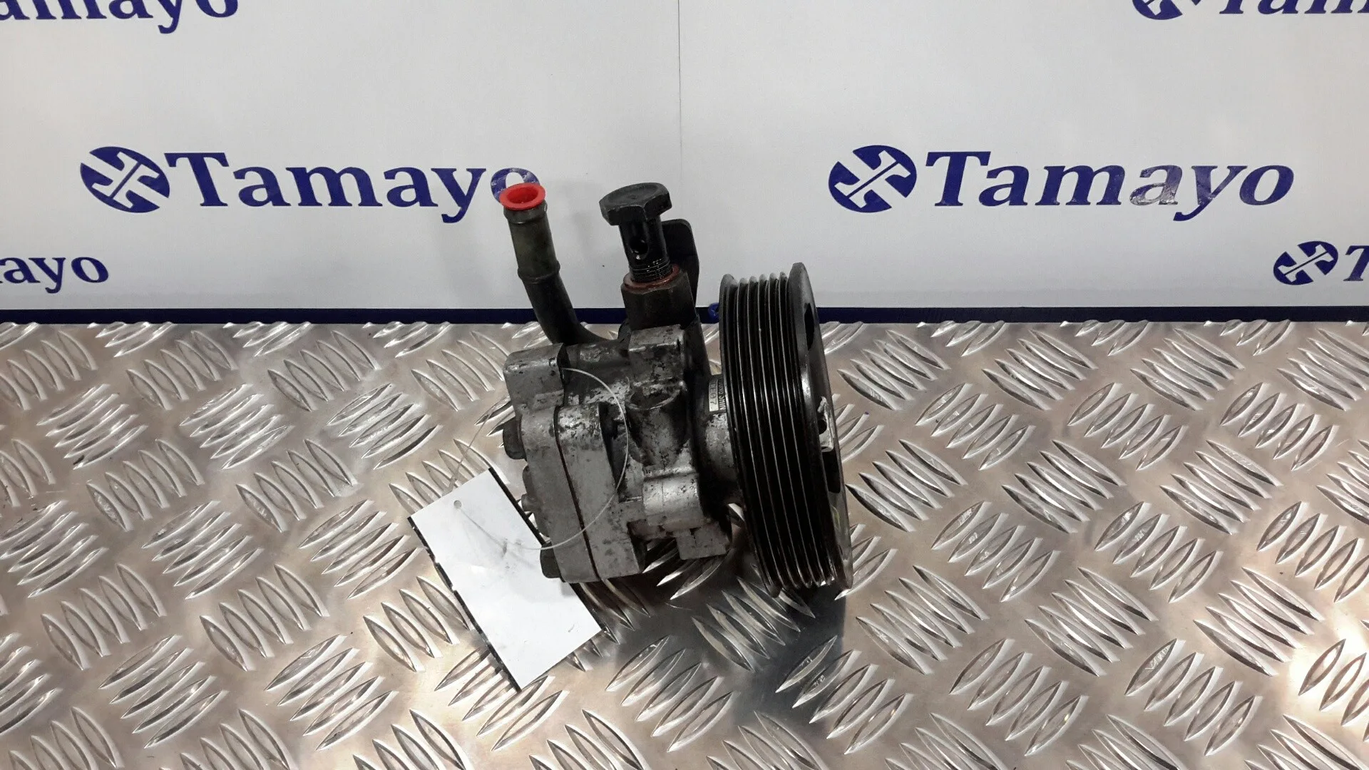 Bomba Direccion para Hyundai Santa Fe (Sm)
