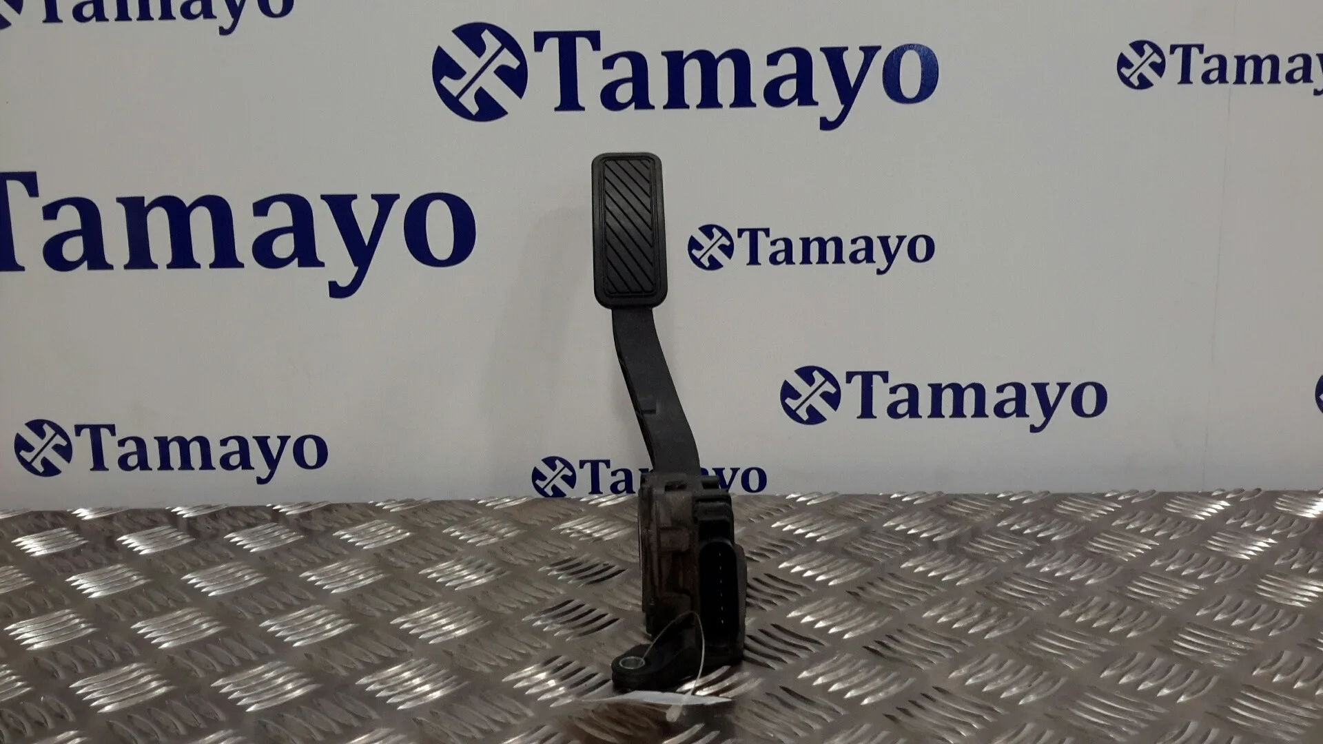 Pedal Acelerador para Ford Fiesta (Cb1)