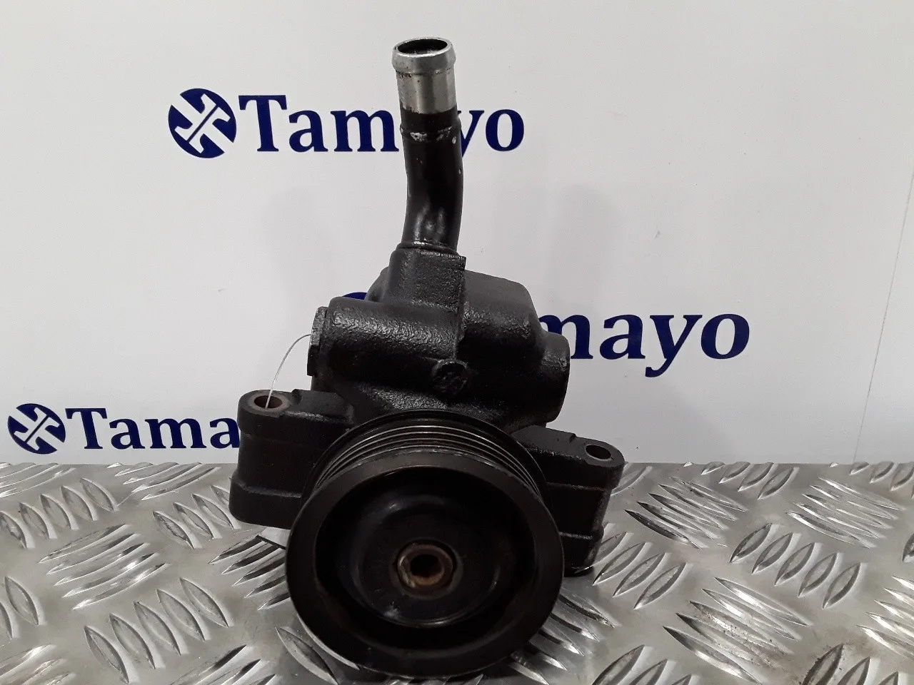 Bomba Direccion para Ford Fiesta (Cbk)