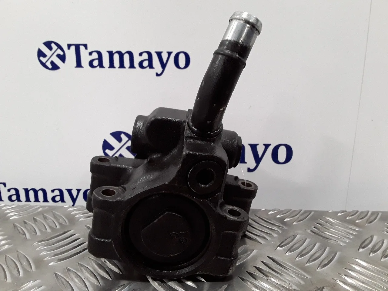 Bomba Direccion para Ford Fiesta (Cbk)