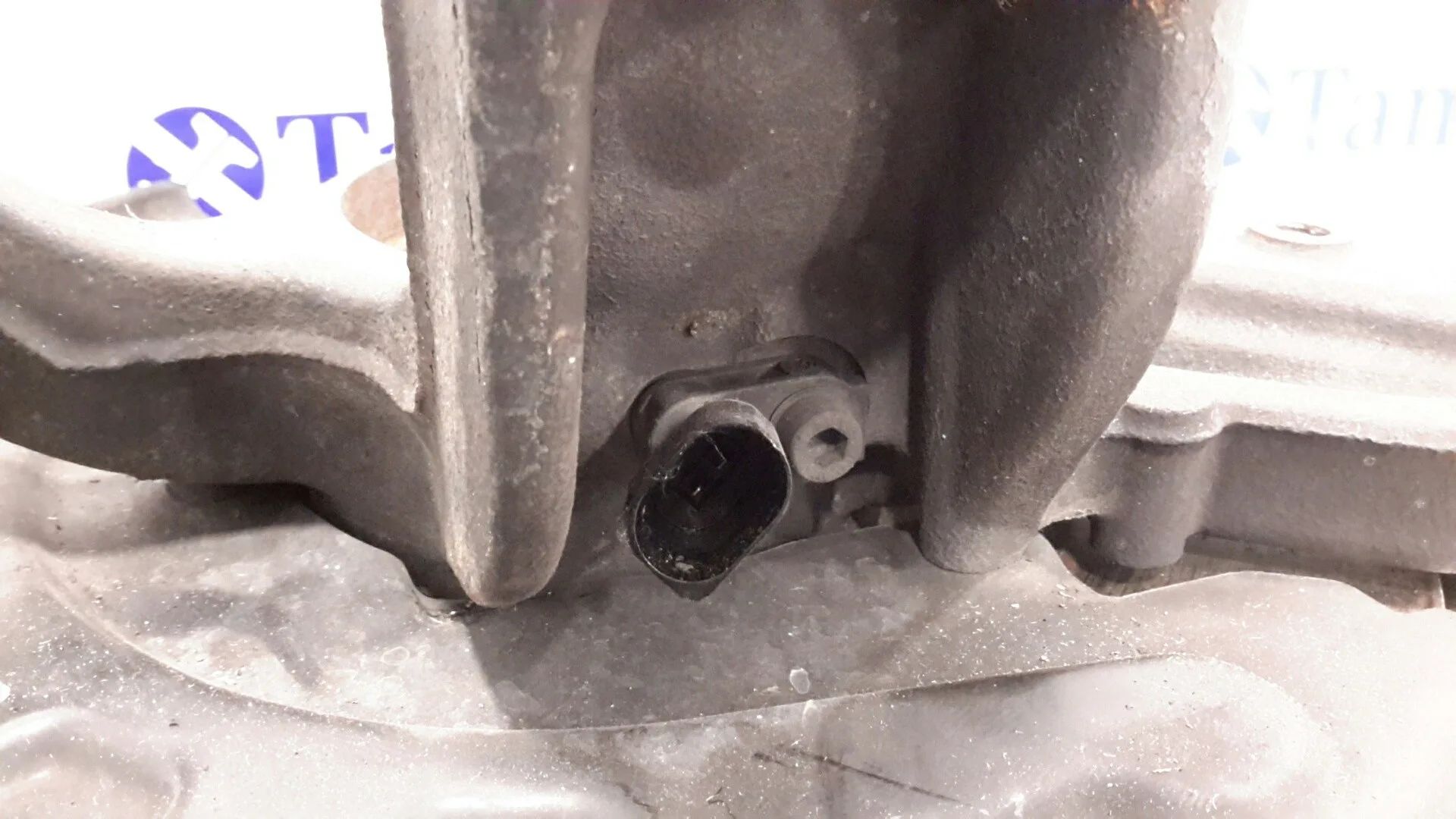 Mangueta Delantera Derecha para Seat Ibiza (6P1)
