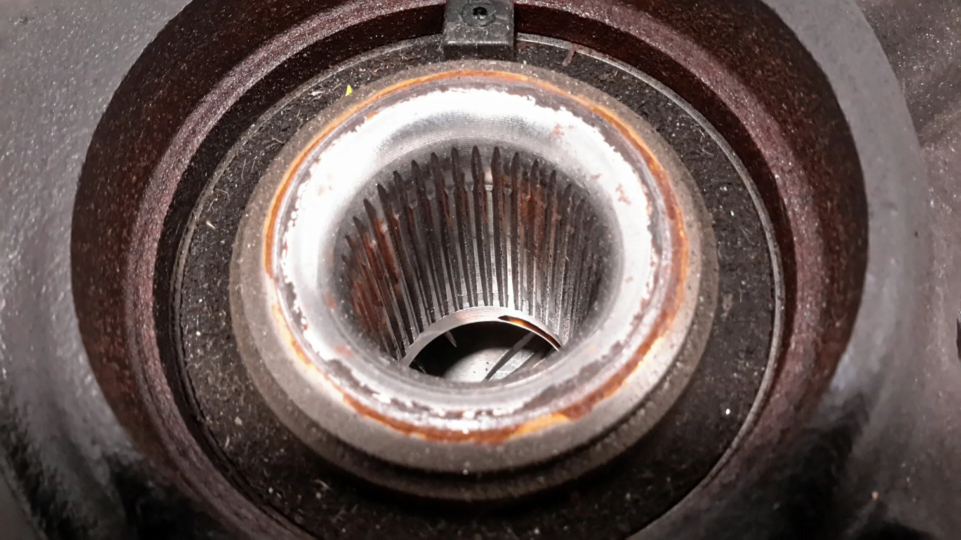 Mangueta Delantera Izquierda para Seat Ibiza (6P1)