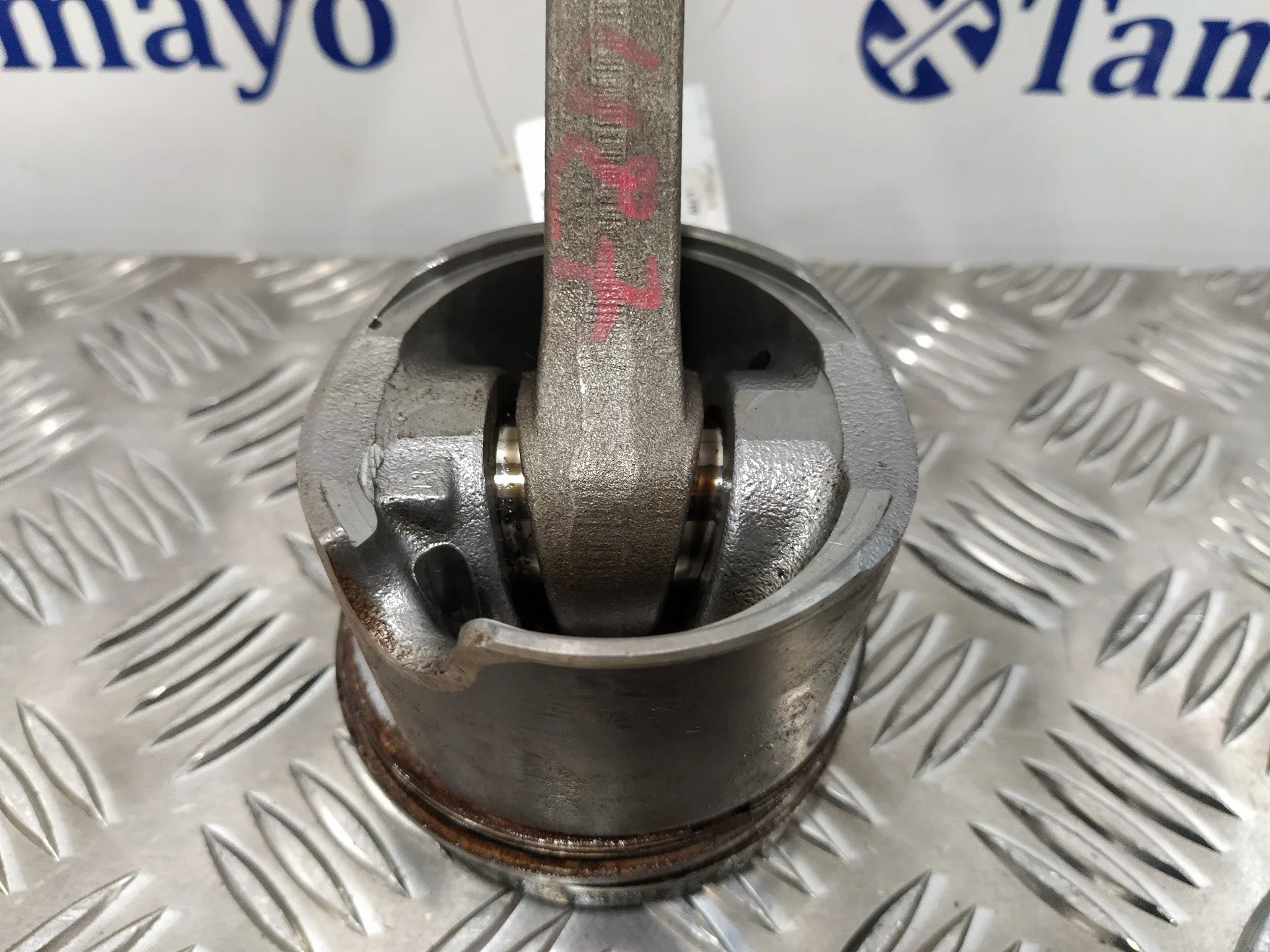 Biela para Audi A3 (8P)