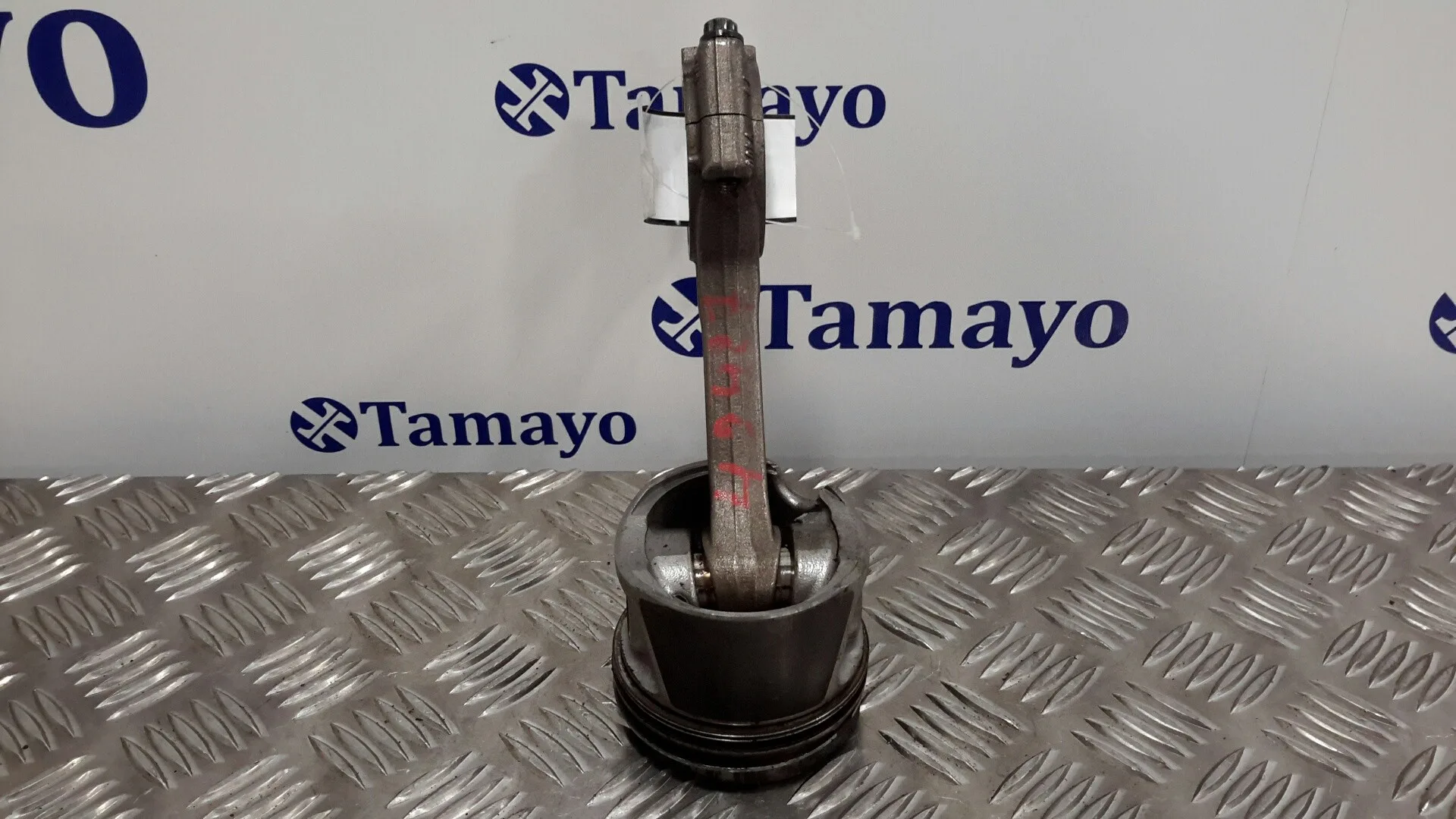 Biela para Audi A3 (8P)