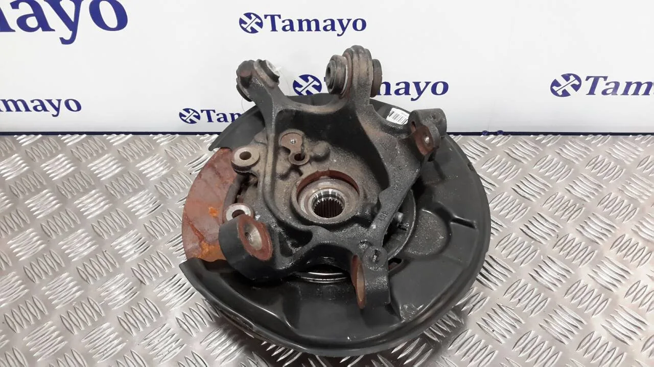 Mangueta Trasera Izquierda para Bmw Serie 3 Lim. (F30)