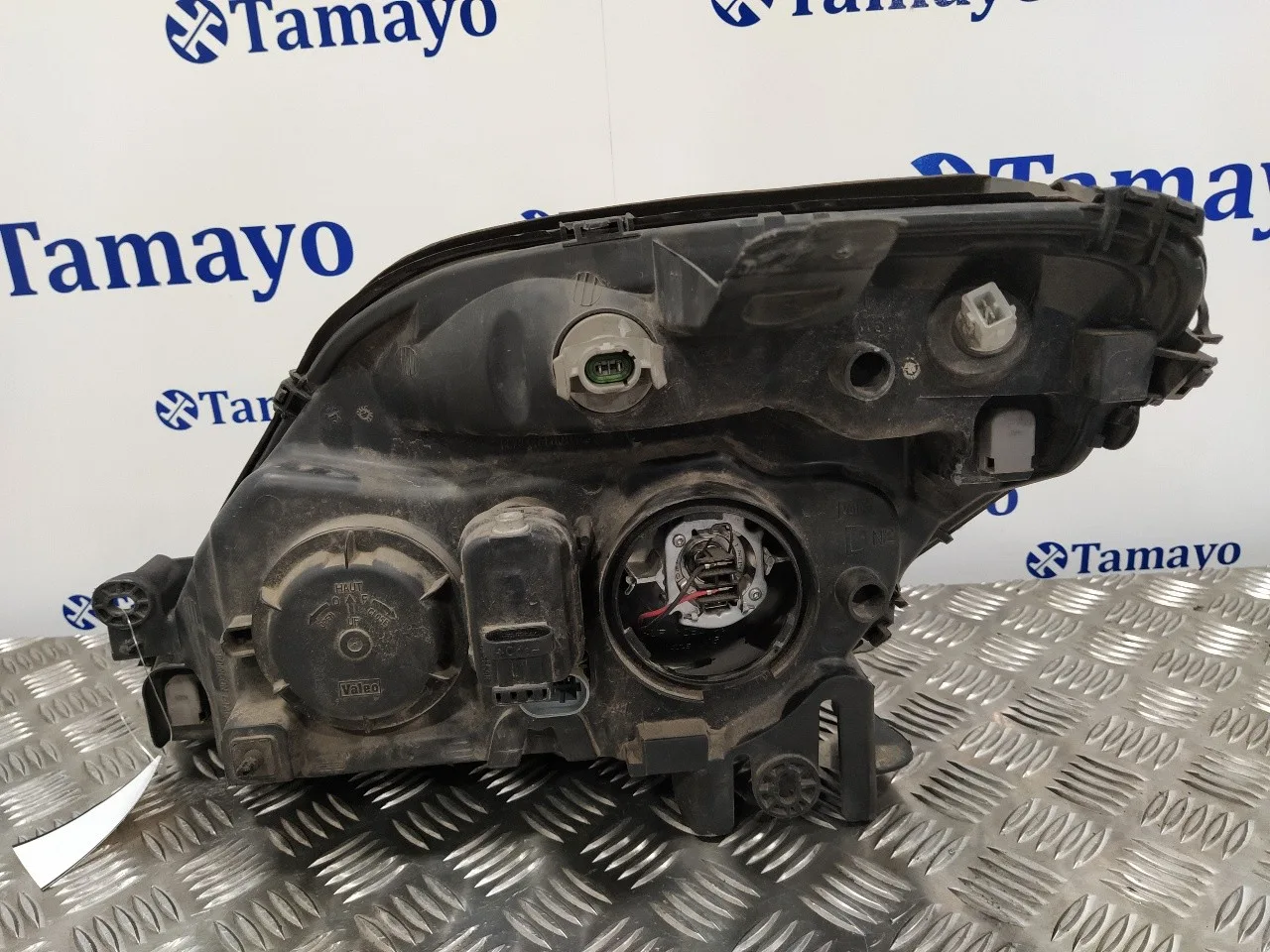 Faro Derecho para Renault Scenic (Ja..)