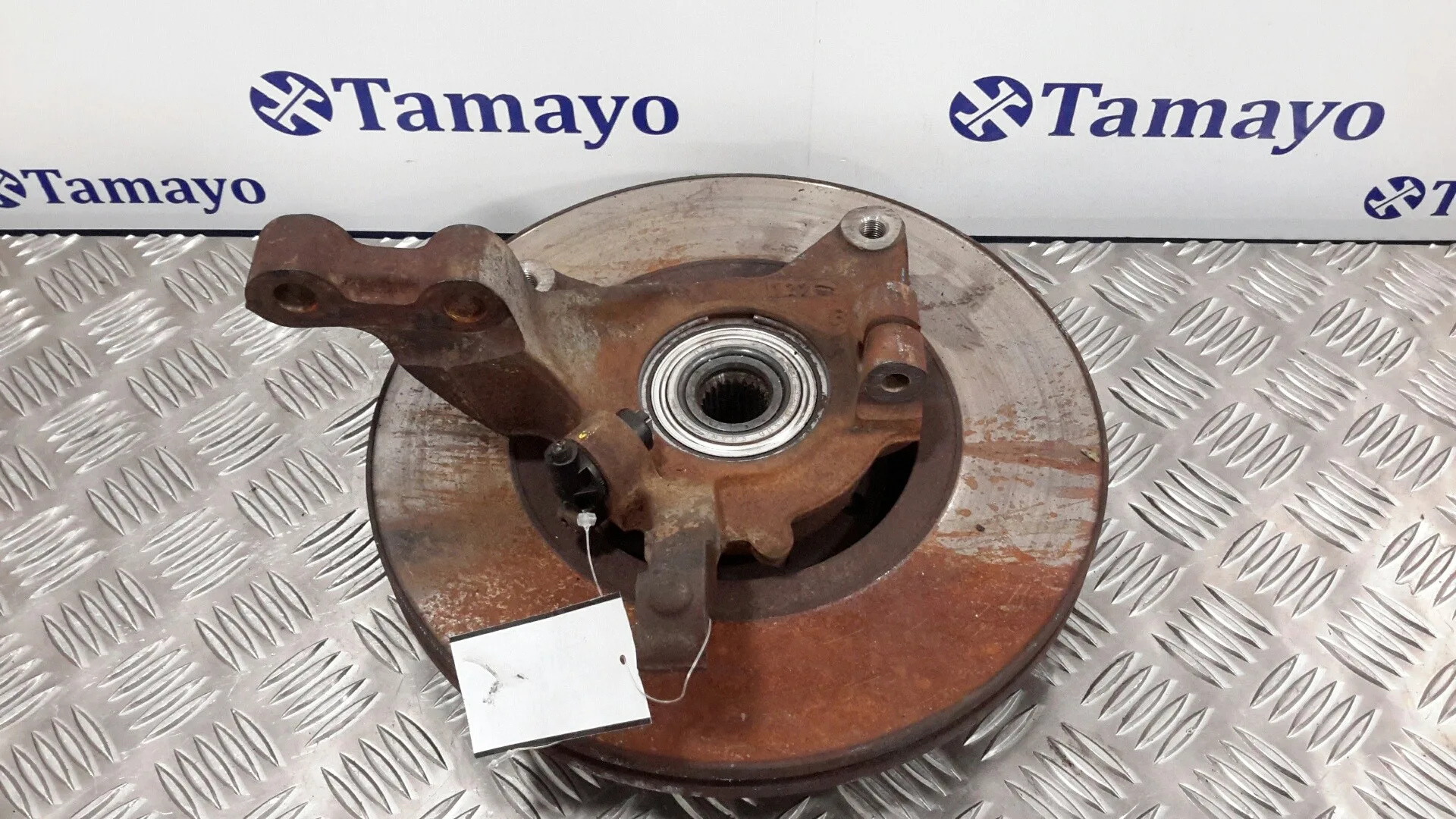 Mangueta Delantera Izquierda para Renault Scenic (Ja..)