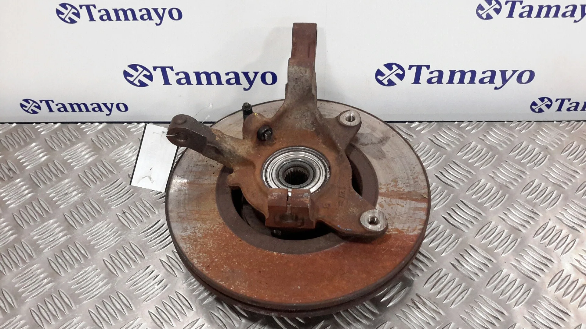 Mangueta Delantera Izquierda para Renault Scenic (Ja..)