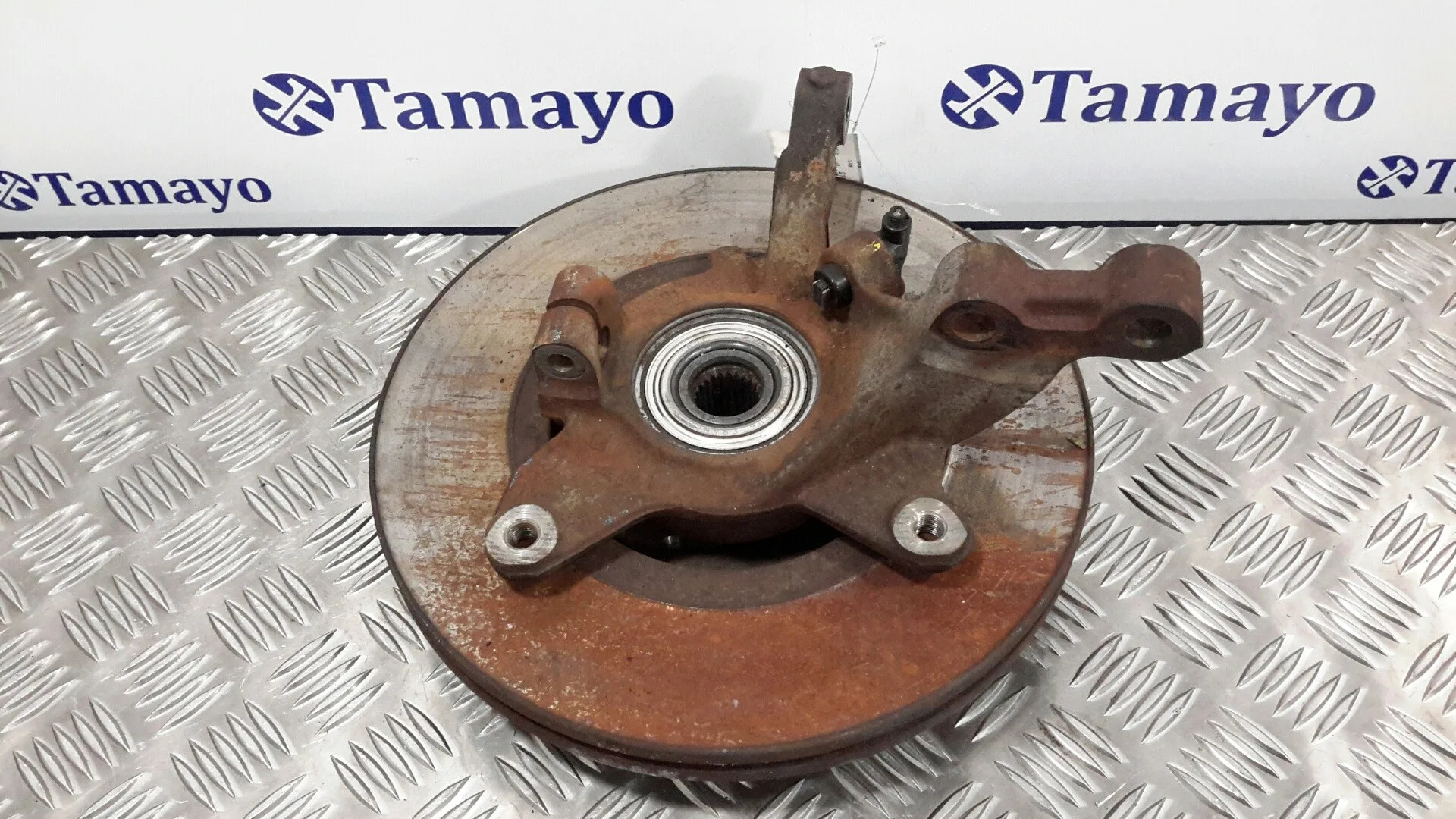 Mangueta Delantera Izquierda para Renault Scenic (Ja..)