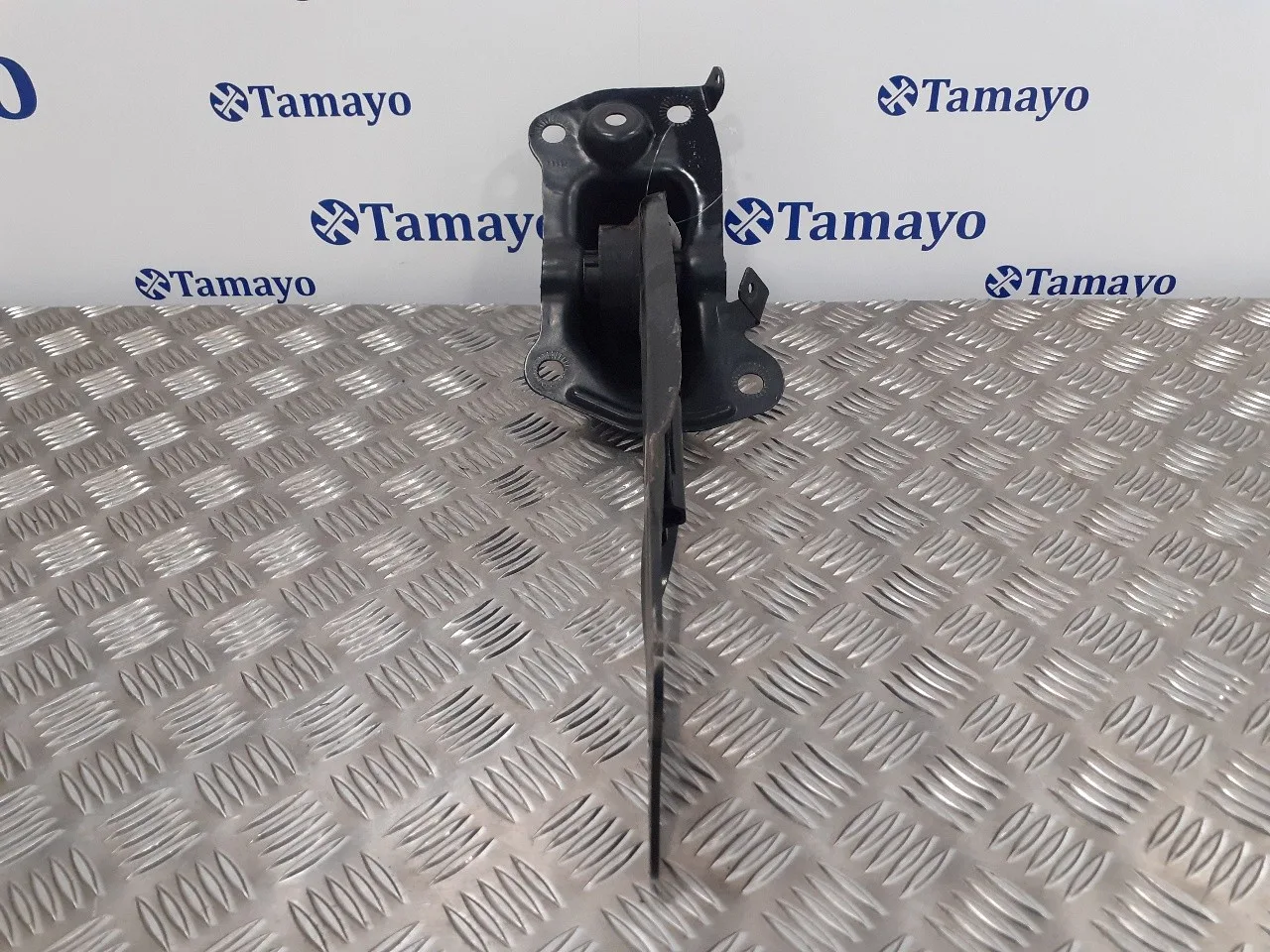 Brazo Suspension Inferior Trasero Derecho para Volkswagen Passat Cc (357)