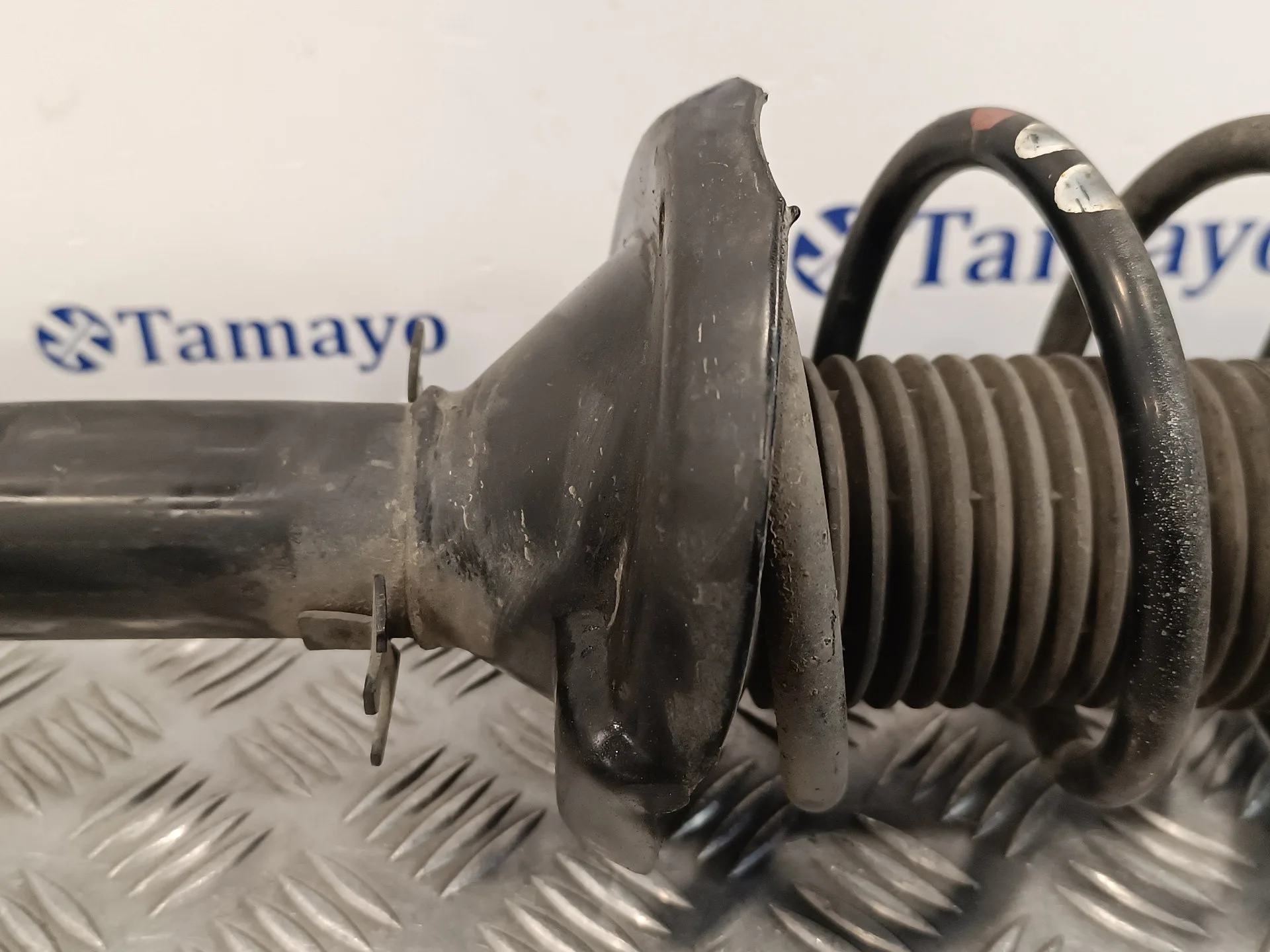 Amortiguador Delantero Derecho para Audi A3 (8L)