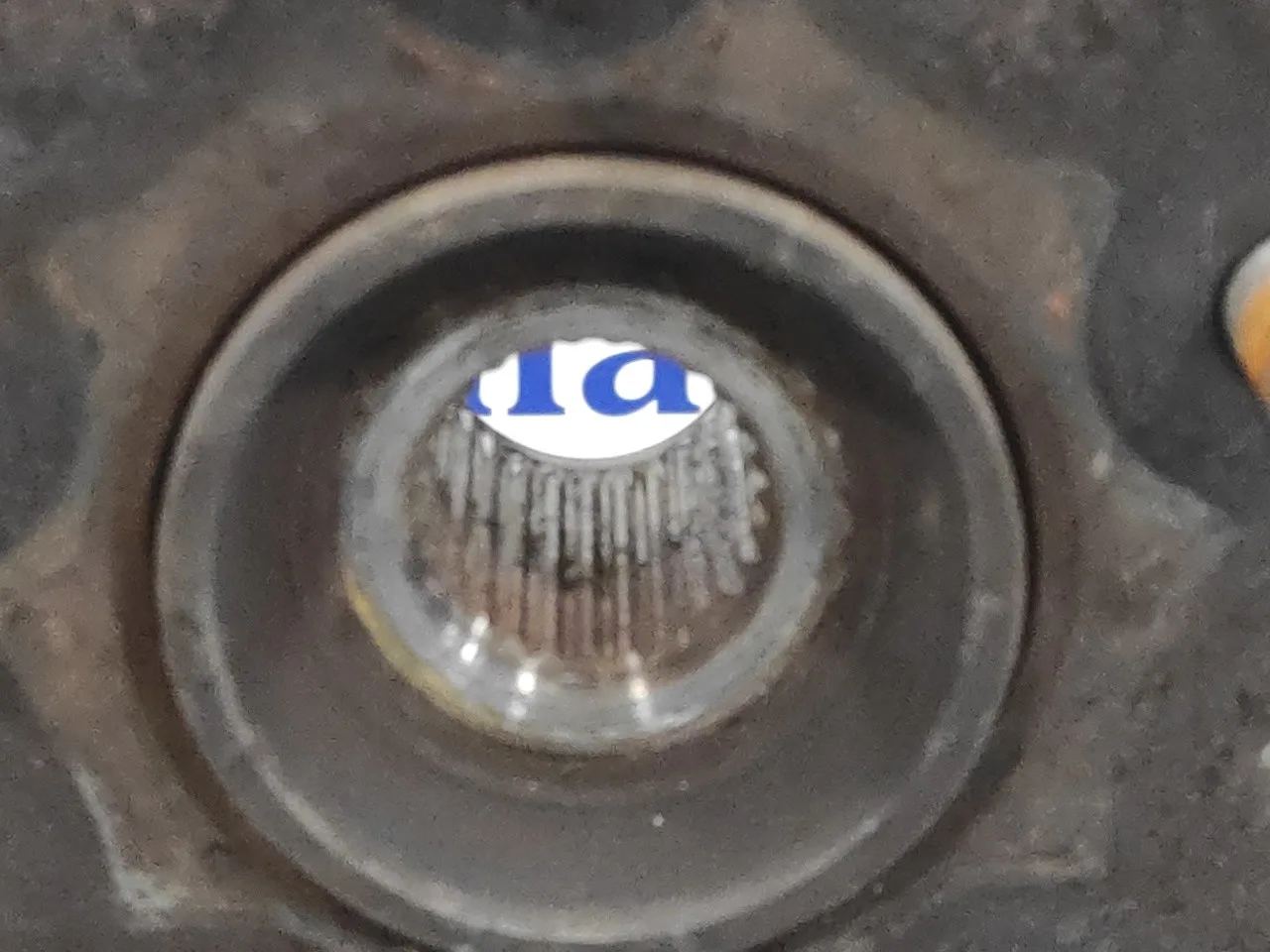 Mangueta Delantera Derecha para Nissan Primera Berlina (P12)