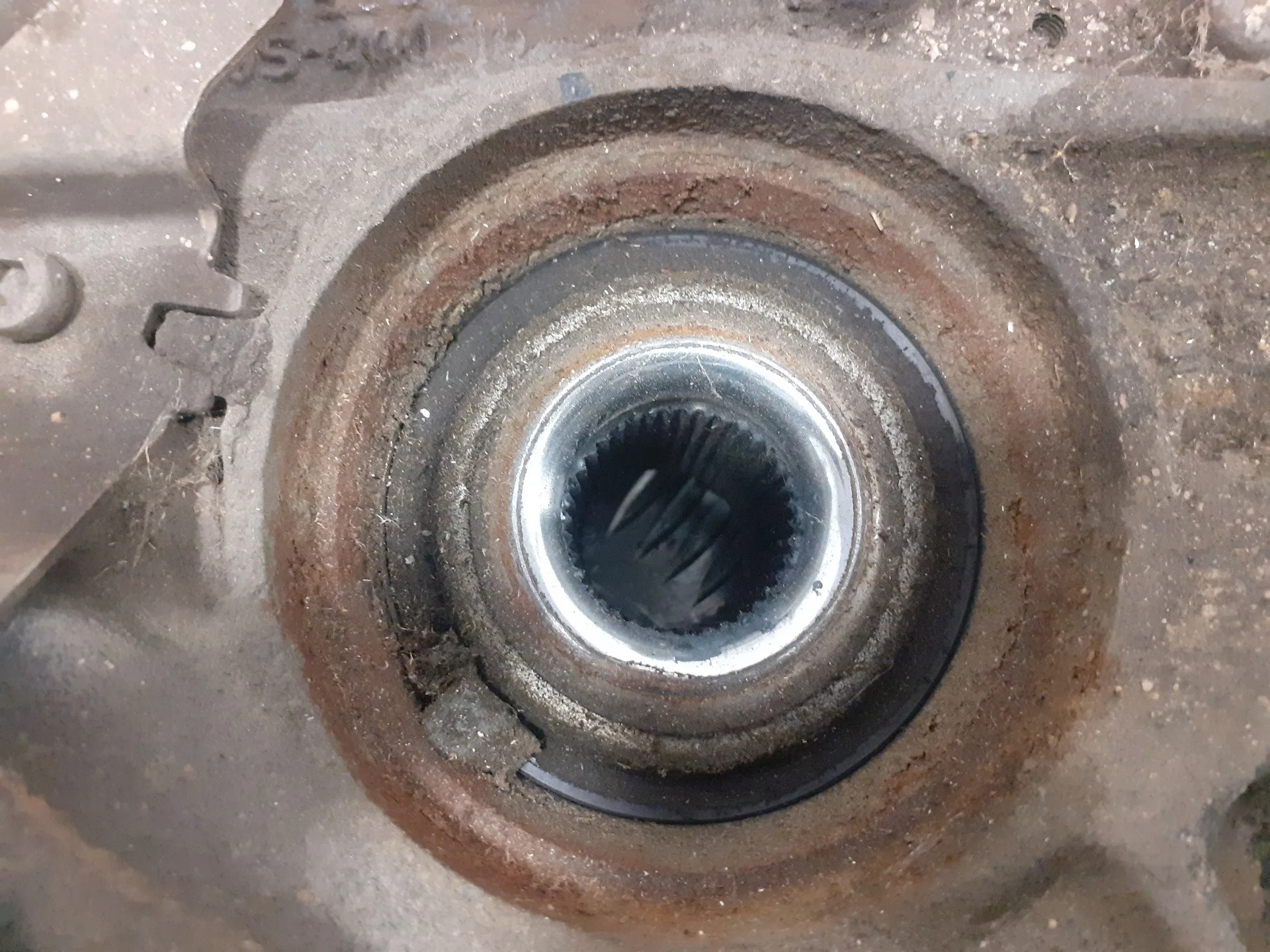 Mangueta Trasera Izquierda para Volkswagen Touareg (7L6)