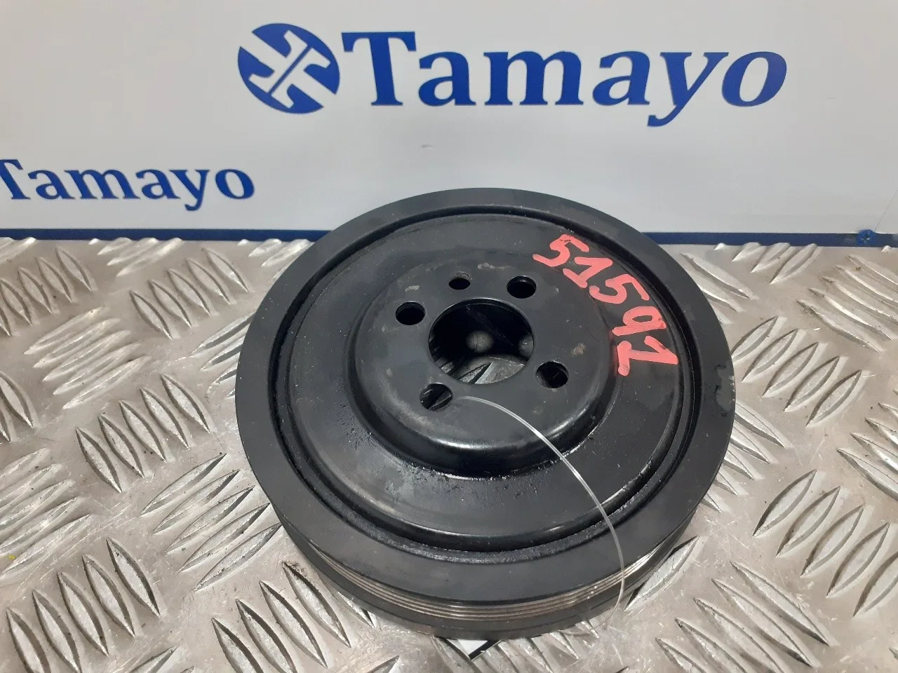 Polea Ciguenal para Seat Toledo (5P2)
