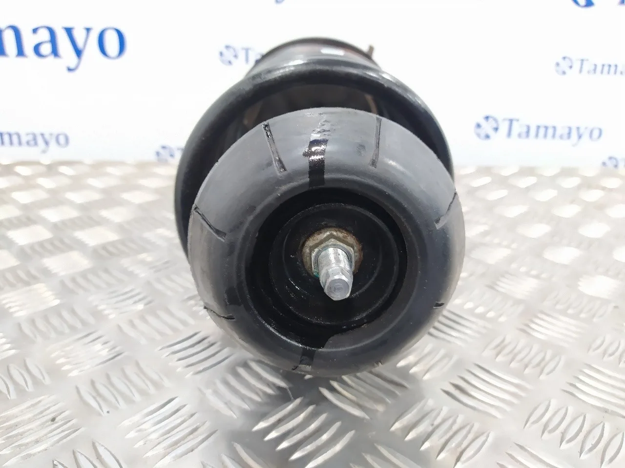 Amortiguador Delantero Izquierdo para Chevrolet Lacetti