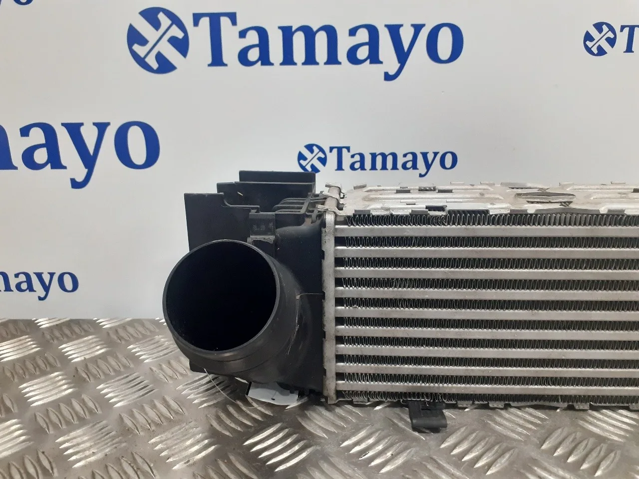 Intercooler para Bmw Serie 3 Lim. (F30)