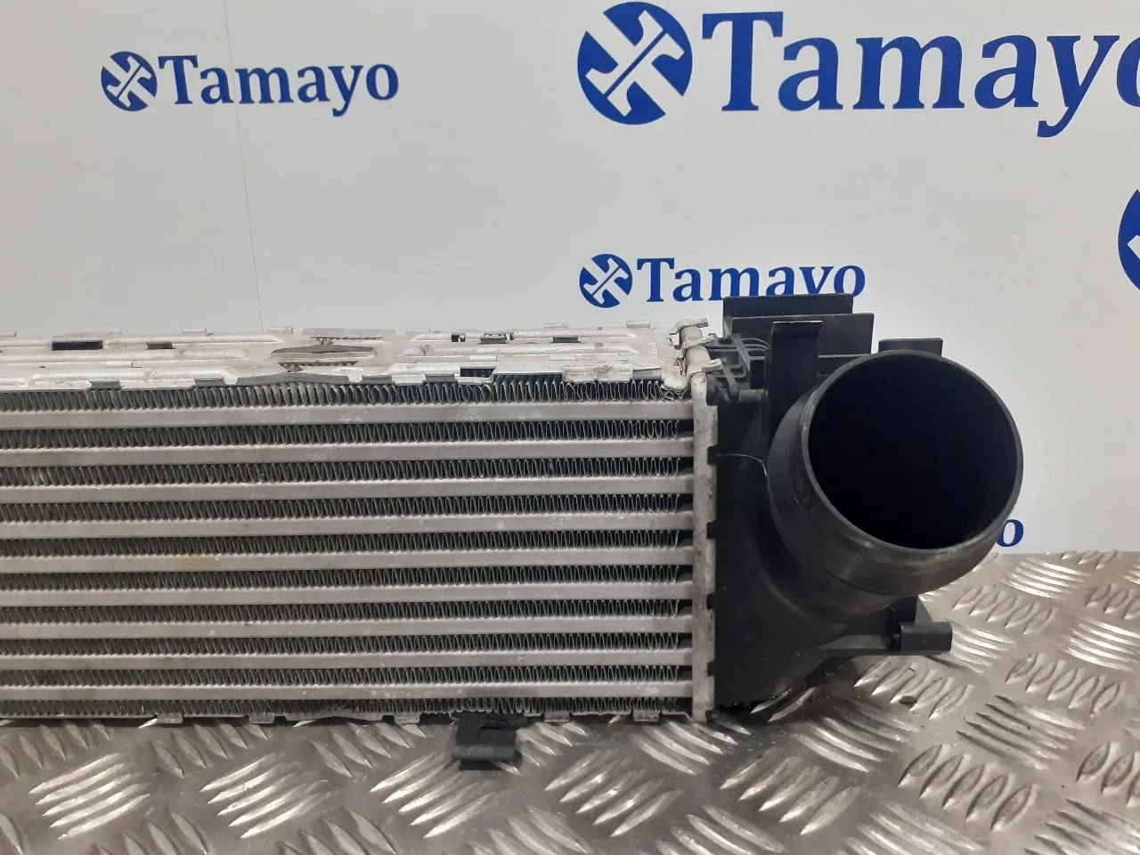 Intercooler para Bmw Serie 3 Lim. (F30)