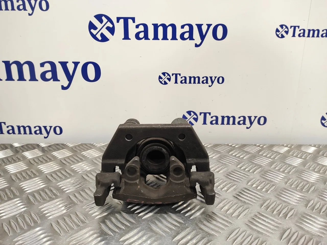 Pinza Freno Trasera Derecha para Bmw Serie 7 (E65/E66)