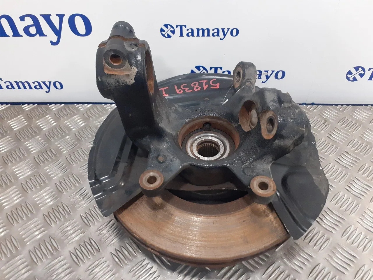 Mangueta Delantera Izquierda para Bmw X3 (E83)
