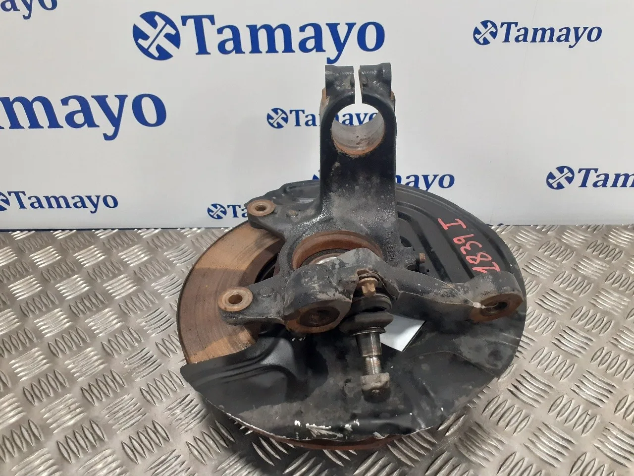 Mangueta Delantera Izquierda para Bmw X3 (E83)