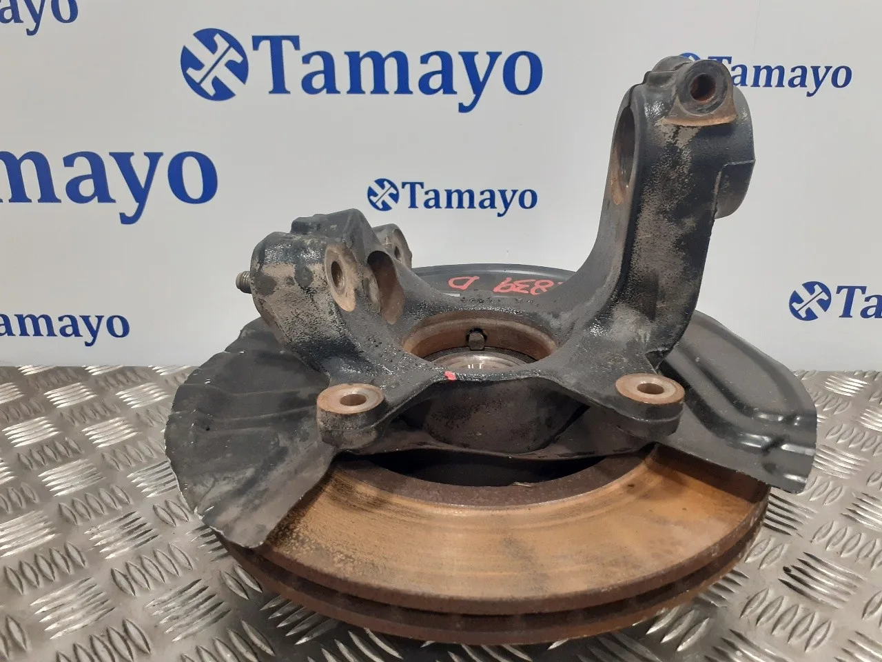 Mangueta Delantera Derecha para Bmw X3 (E83)