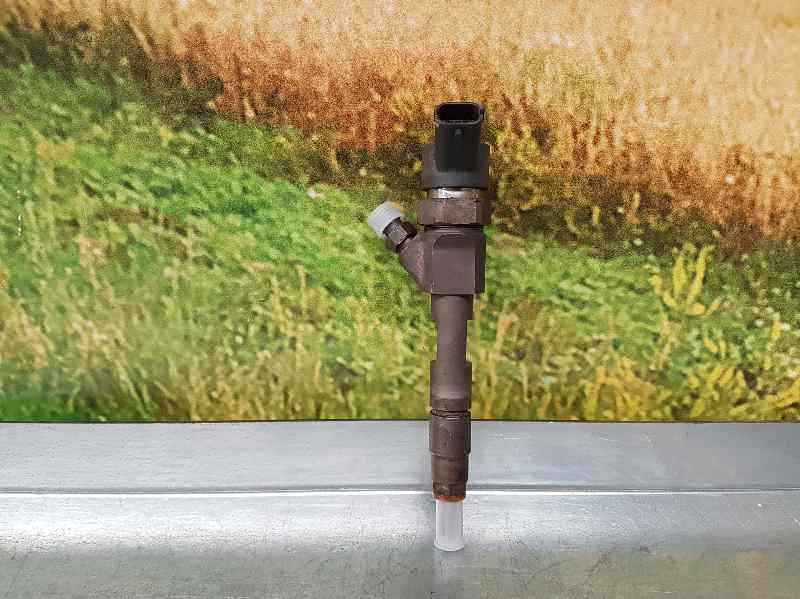 Inyector para Renault Scenic Ii