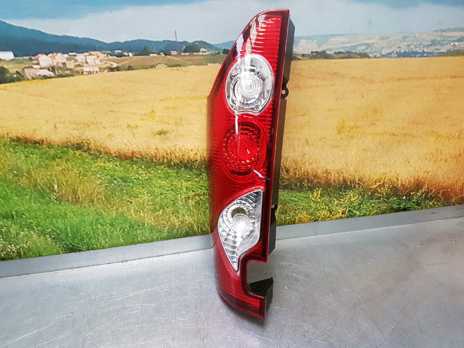 Piloto Trasero Derecho para Renault Kangoo