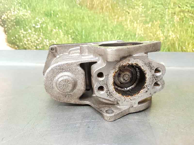 Valvula Egr para Volkswagen Passat Berlina (3C2)