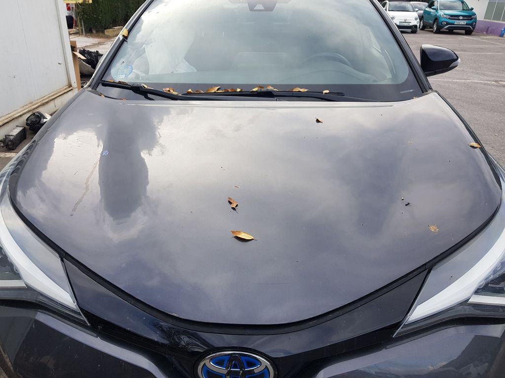 Capot para Toyota C-Hr