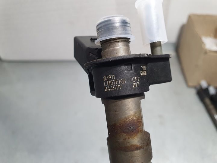 Inyector para Bmw X6 (E71)
