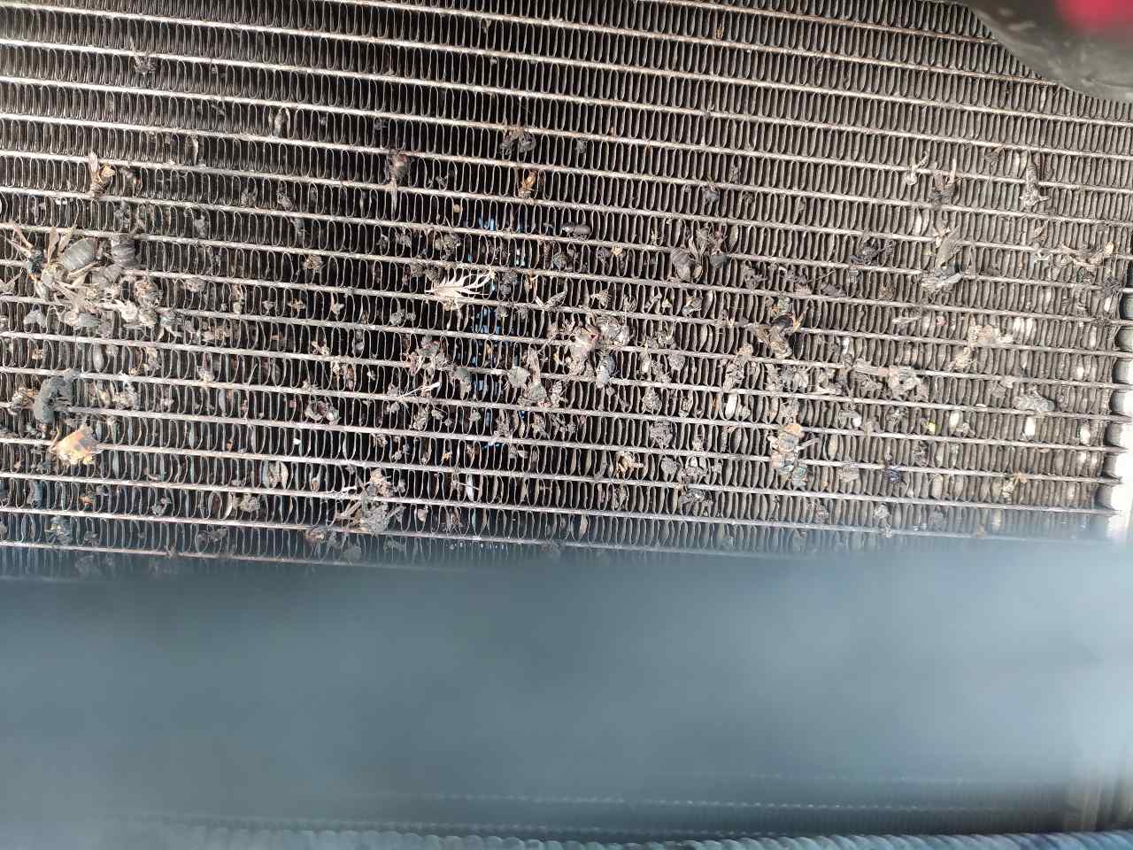 Condensador / Radiador Aire Acondicionado para Toyota Rav 4