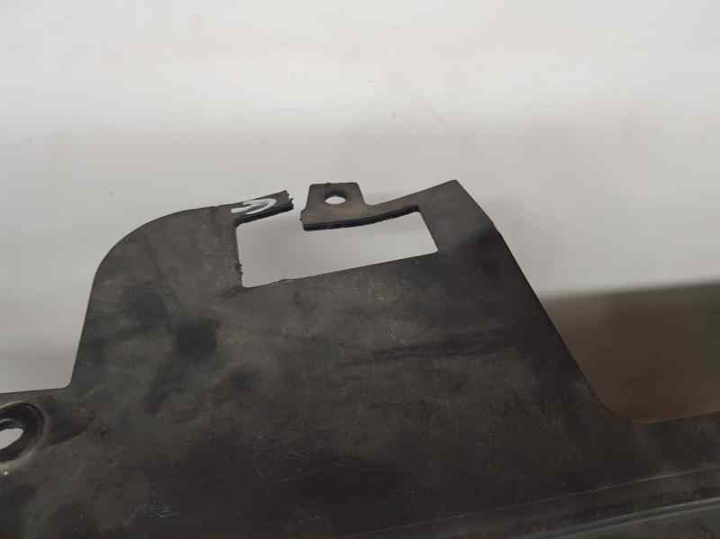 Rejilla Delantera para Ford Ecosport (Cr6)