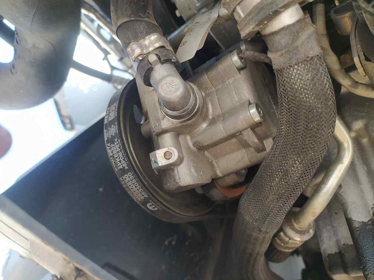 Bomba Direccion para Fiat Doblo Ii Cargo (263)