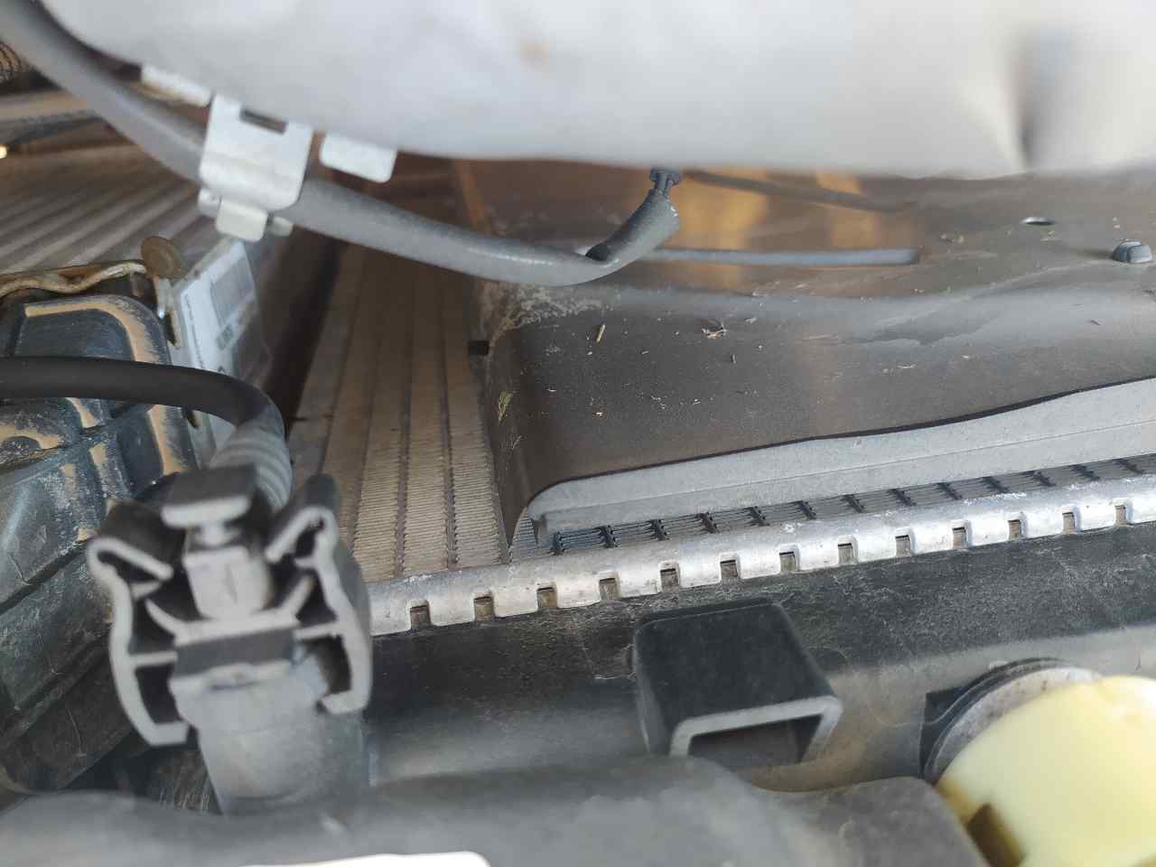 Radiador Agua para Peugeot 208