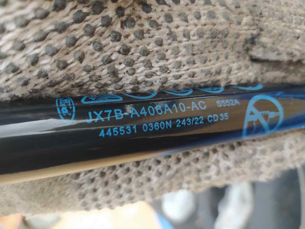 Amortiguadores Maletero / Porton para Ford Focus