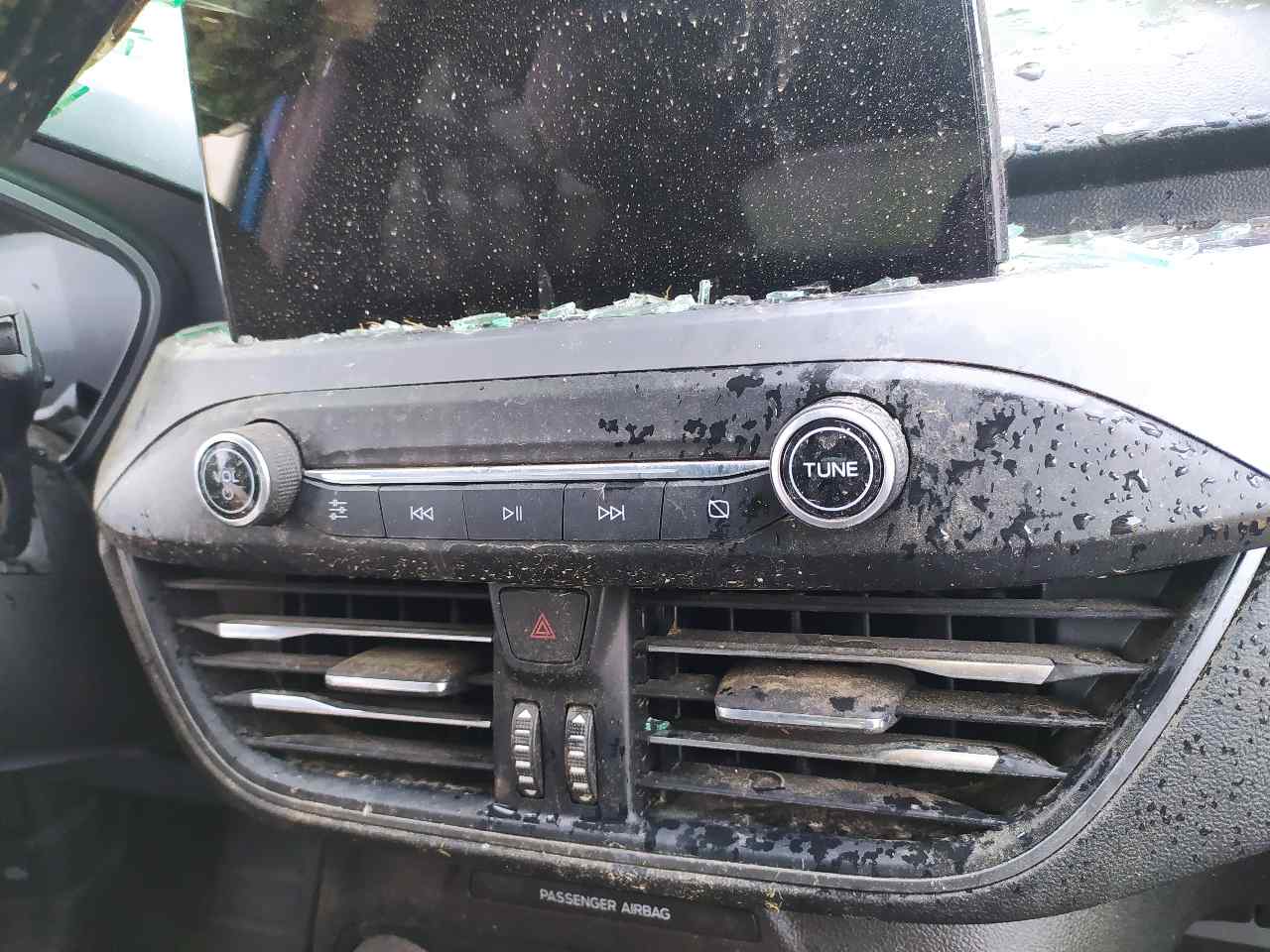 Mando Radio para Ford Focus