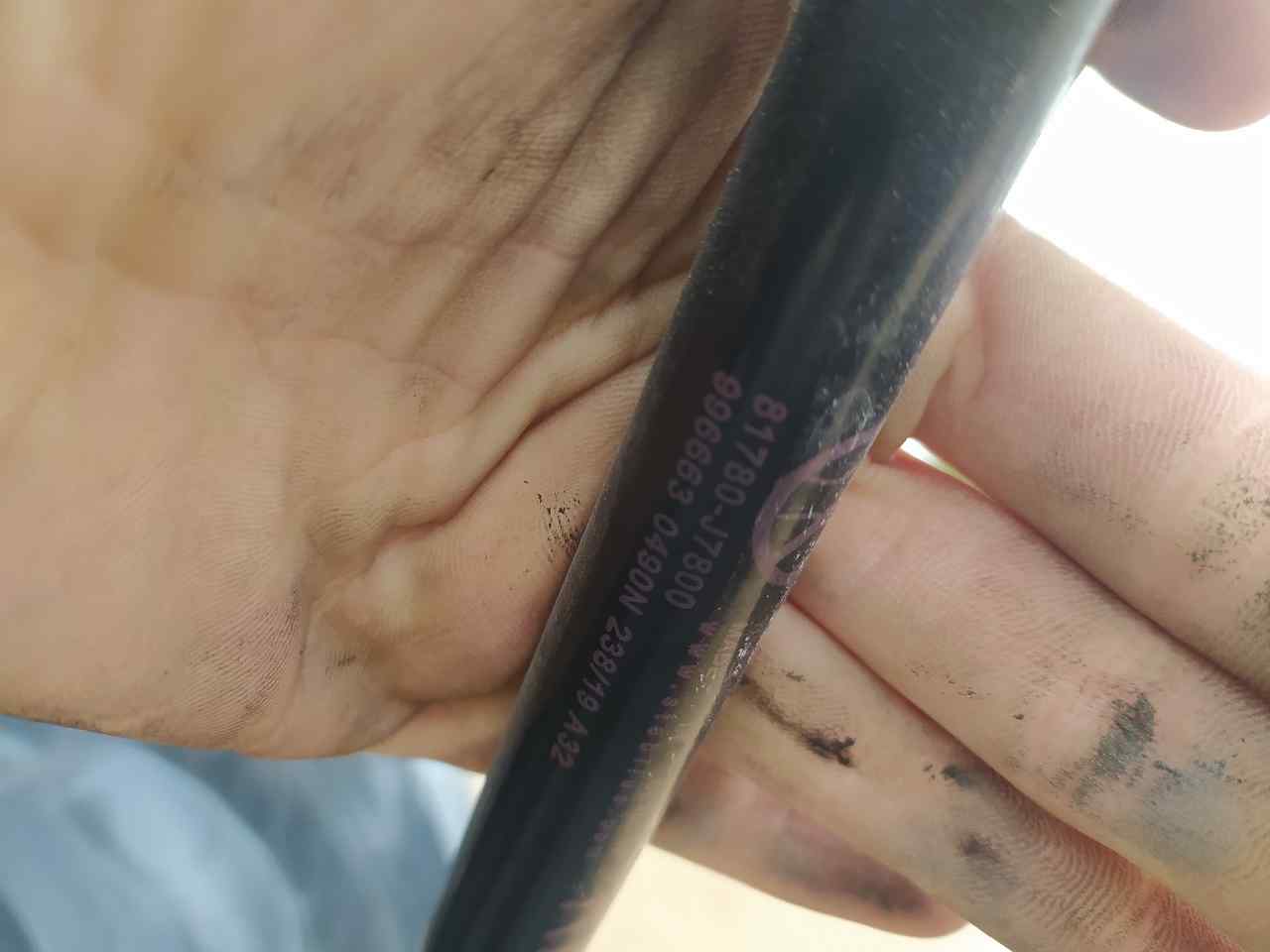 Amortiguadores Maletero / Porton para Kia Xceed