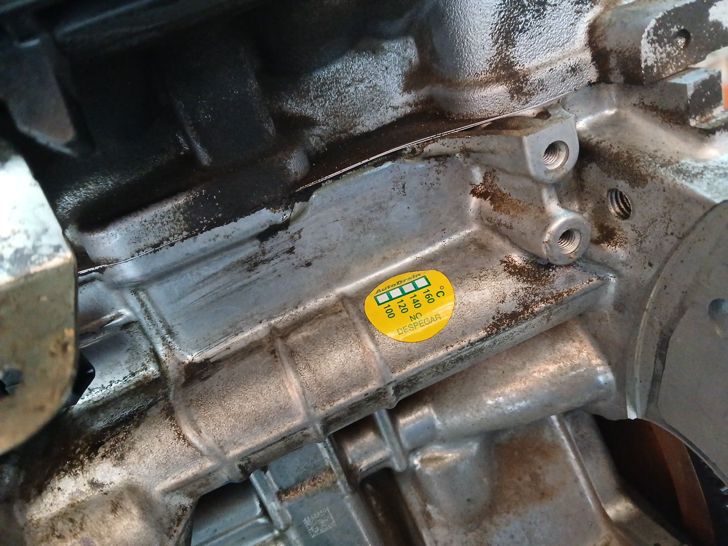 Motor Completo para Nissan Juke (F15)
