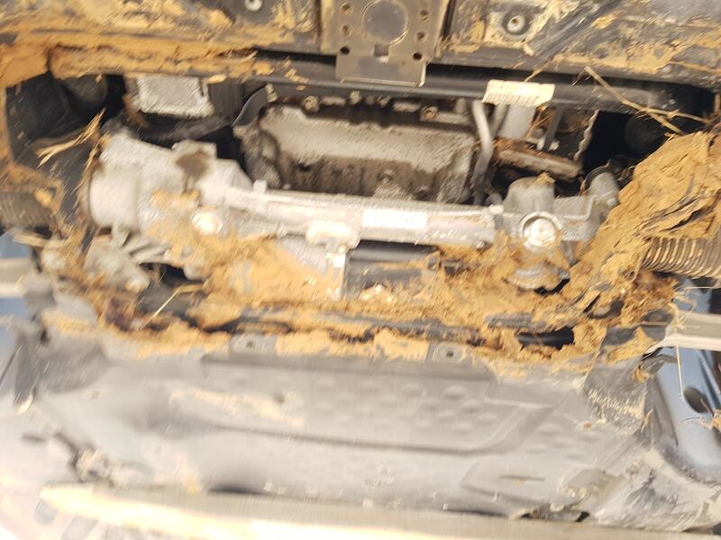 Puente Delantero para Mercedes-Benz Clase C T-Model (S205)