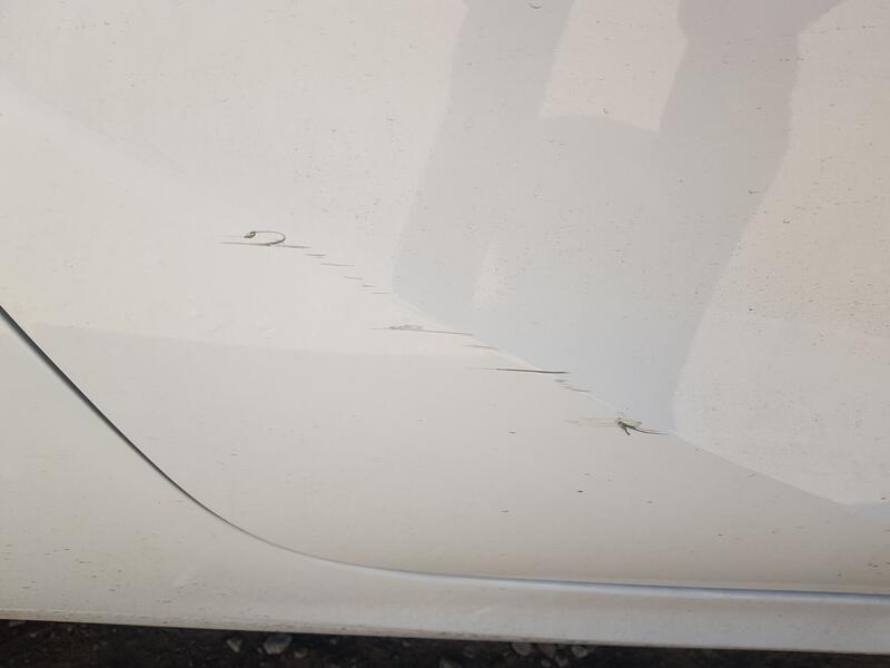 Puerta Trasera Derecha para Opel Corsa F (P2Jo)