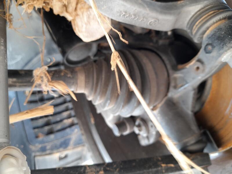 Transmision Delantera Derecha para Peugeot Traveller Autobús (V_)