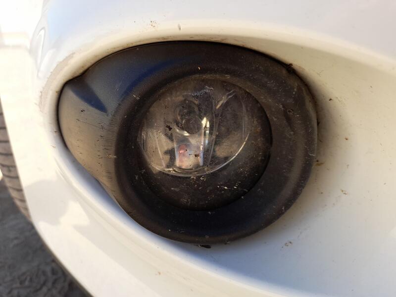 Faro Antiniebla Derecho para Ford Focus Iii