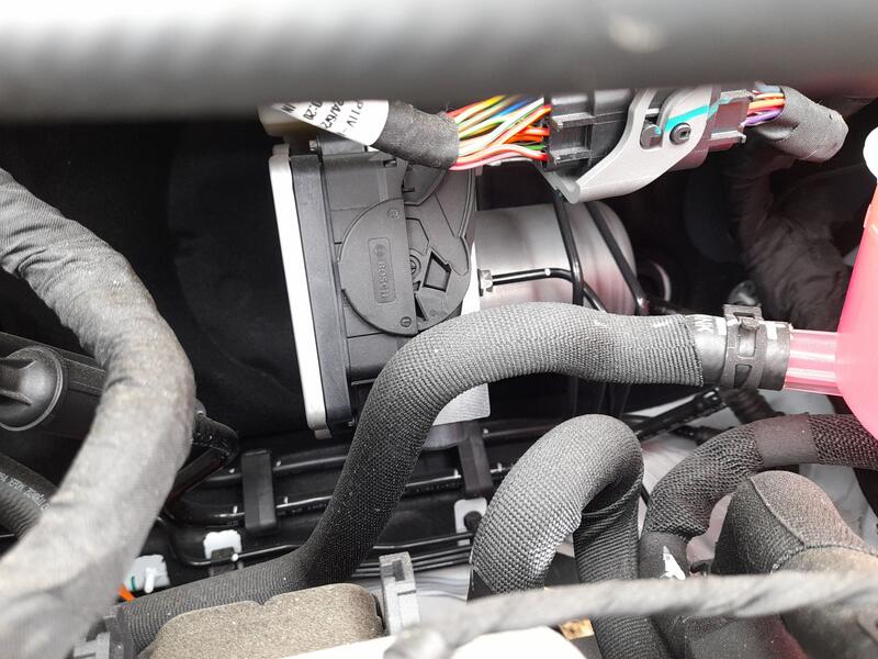 Abs para Mg Mg 3 (5Lfp)