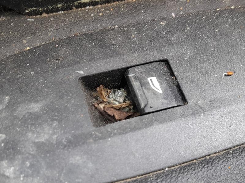 Mando Elevalunas Delantero Derecho para Bmw X1 (U11)