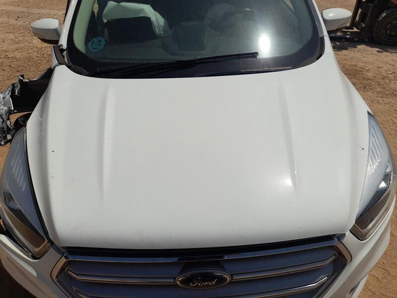 Capot para Ford Kuga Ii (Dm2)