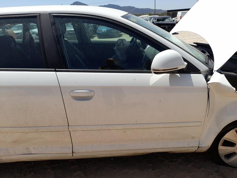Puerta Delantera Derecha para Audi A3 (8P1)