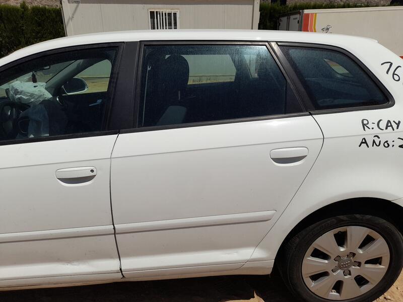 Puerta Trasera Izquierda para Audi A3 (8P1)