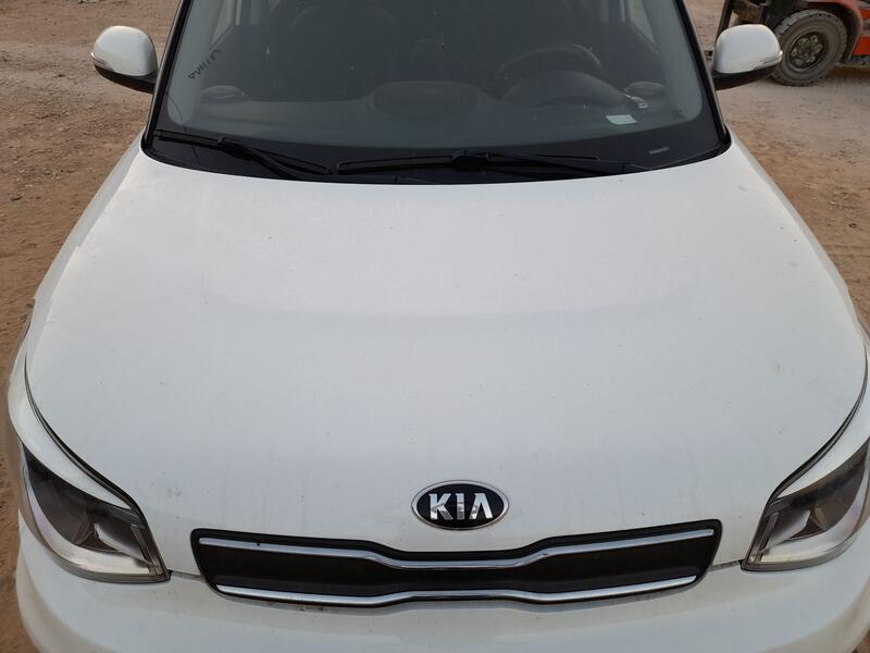 Capot para Kia Soul Ii (Ps)